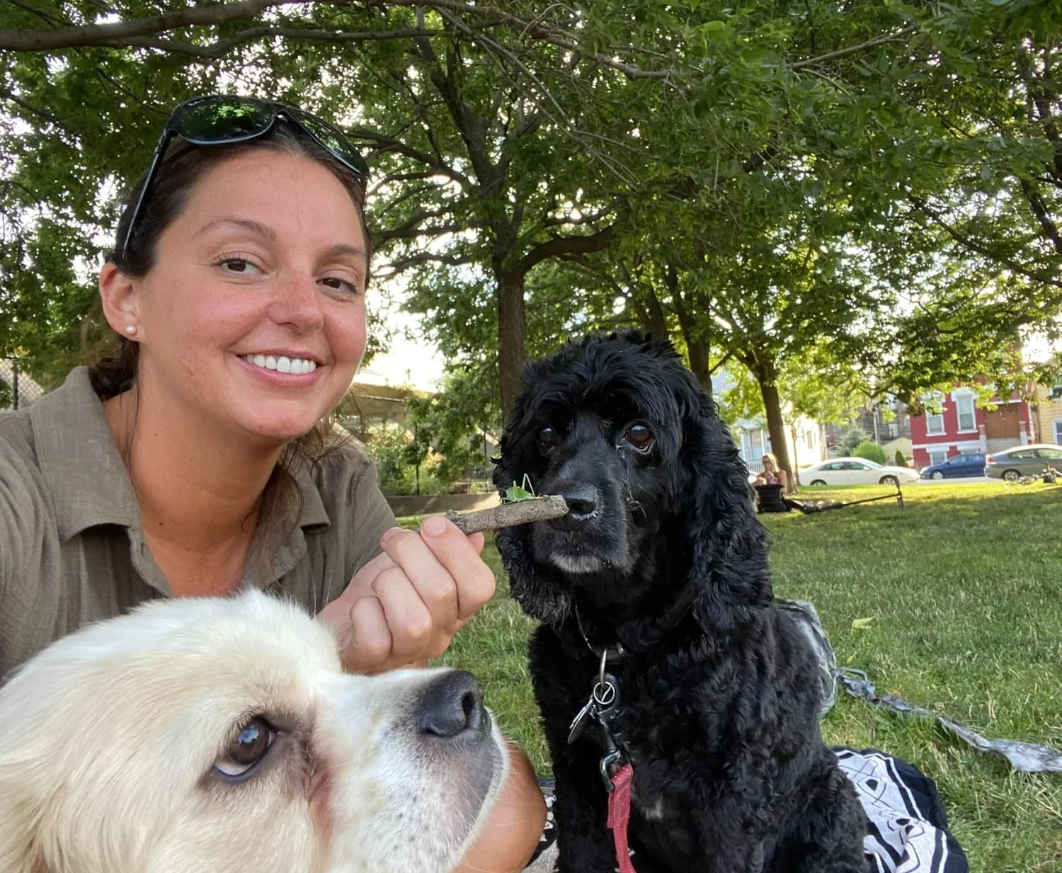 Juliette Boyce in a Chicago park with her two spaniels
